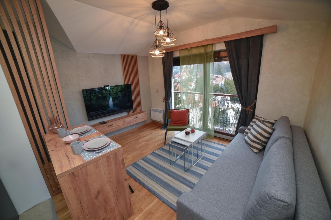 Aria Club Wellness&Spa Zlatibor Zewnętrze zdjęcie
